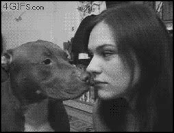 doggy porn gifs|Doggystyle Porn GIFs 